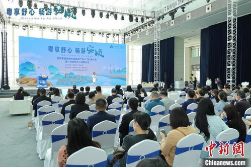 嶺南風韻，活力羊城 社會組織打造特色文旅項目，點燃城市文化新熱度