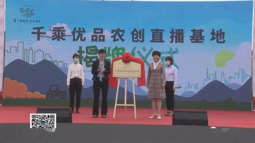 呂藝鎮啟動紅色高家渡文化旅游暨萬壽菊賞花活動，以花為媒深化文化藝術交流